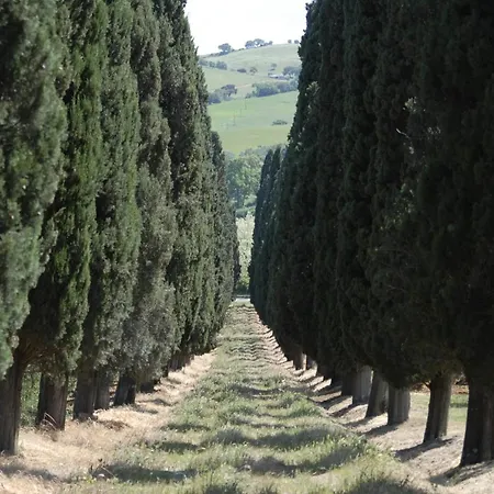 Tenuta Di Poggio Cavallo