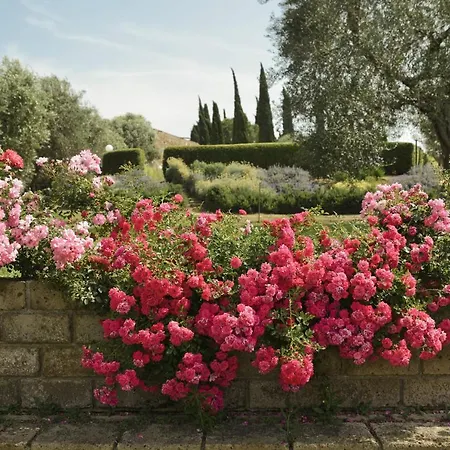 Tenuta Di Poggio Cavallo Lantställe Istia dʼOmbrone