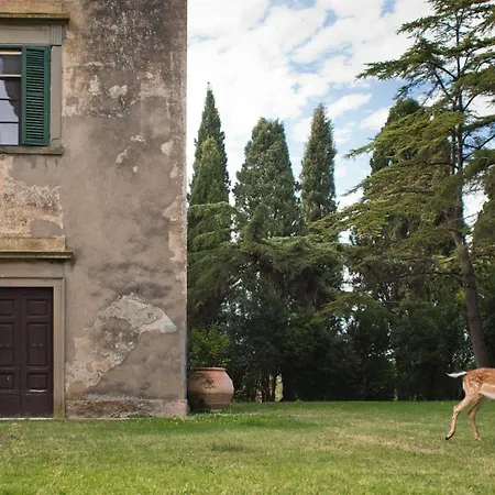 Tenuta Di Poggio Cavallo Istia d'Ombrone