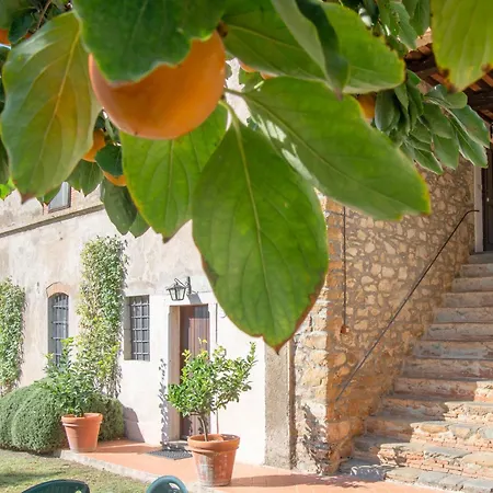 Tenuta Di Poggio Cavallo Kır Evi Istia dʼOmbrone